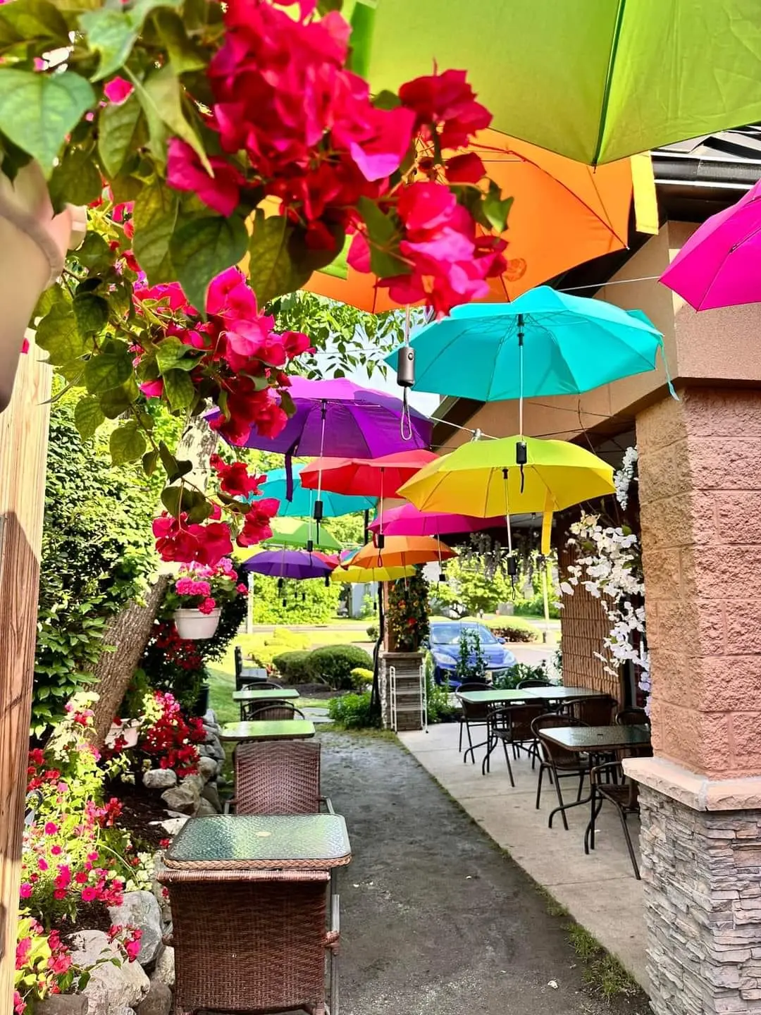 Pink bougainvillea and colorful umbrellas hanging over the patio entrance