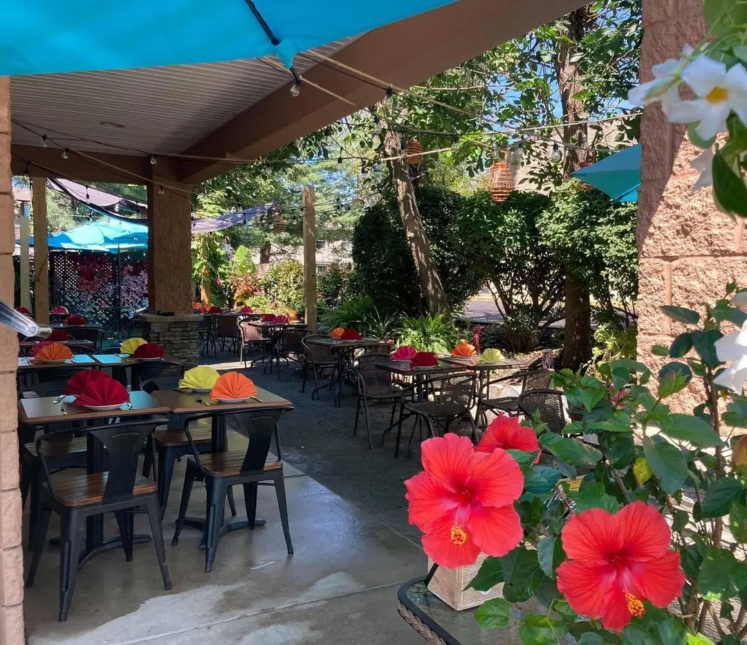 The covered patio with hibiscus and colorful umbrellas